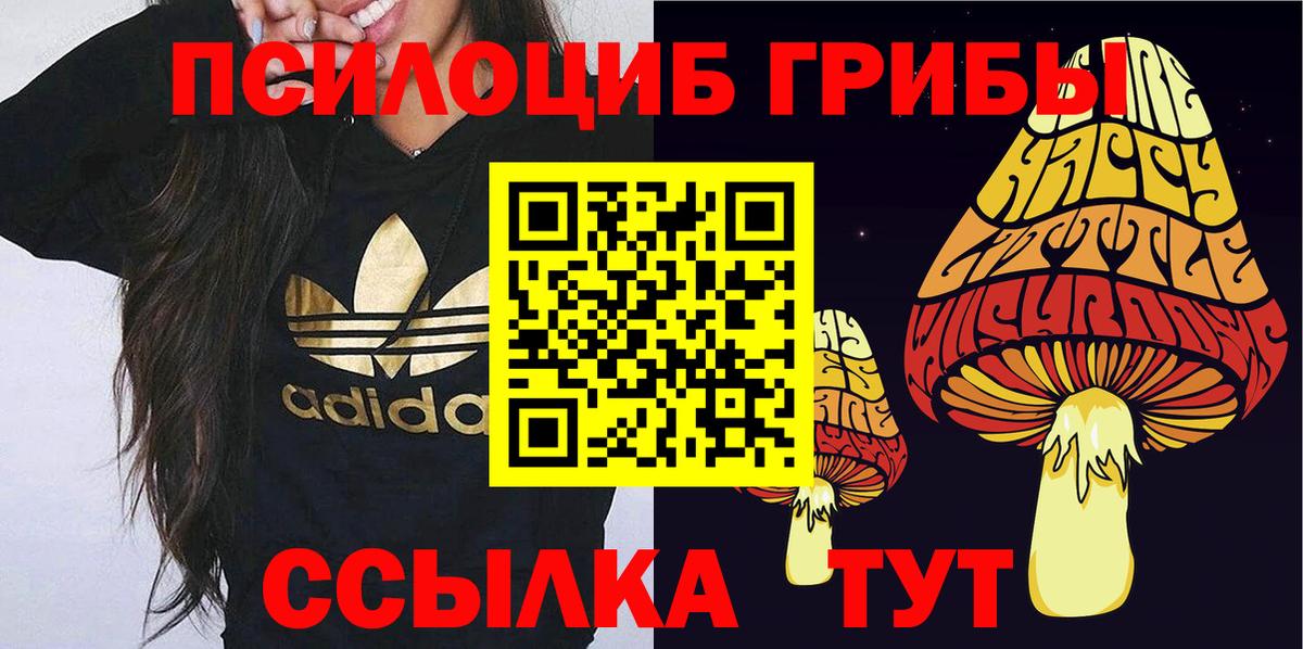 Псилоцибиновые грибы Psilocybine cubensis Кингисепп