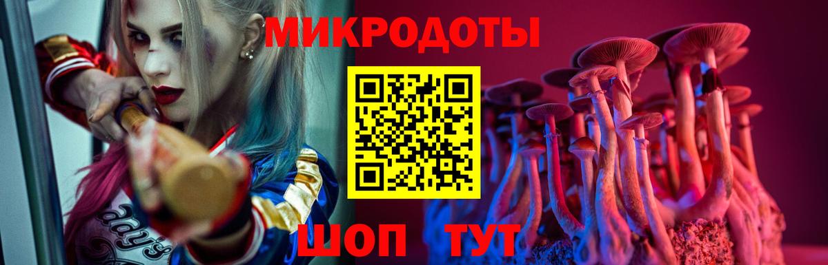 цена наркотик  Псилоцибиновые грибы GOLDEN TEACHER  Вход с VPN  Псилоцибиновые грибы мухоморы  Кингисепп 