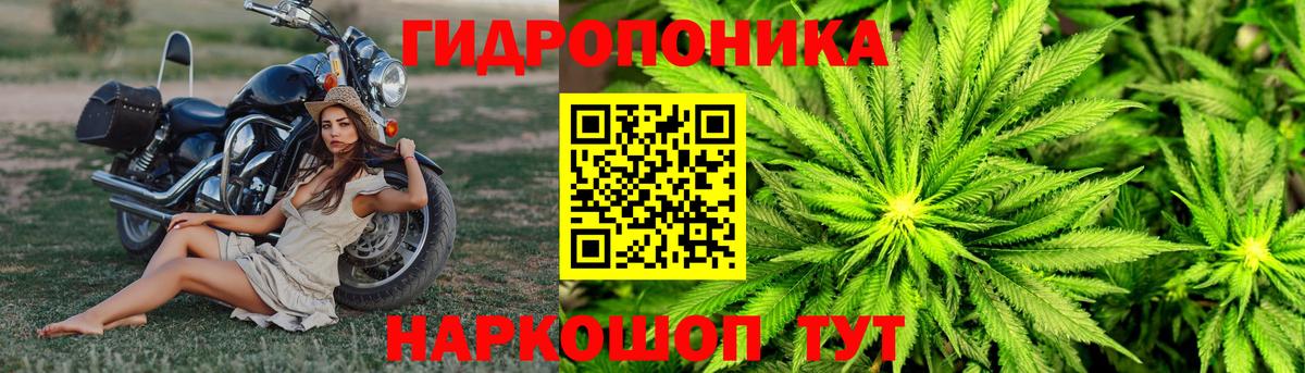 Бошки Шишки VHQ Кингисепп
